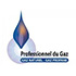 PROFESSIONNEL MAINTENANCE GAZ